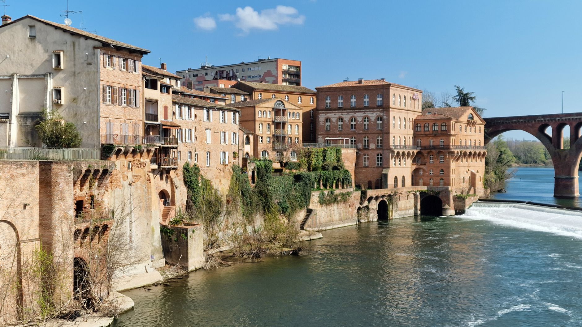 Référencement Albi - Albi